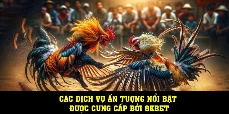 Các dịch vụ ấn tượng nổi bật được cung cấp bởi 8KBET