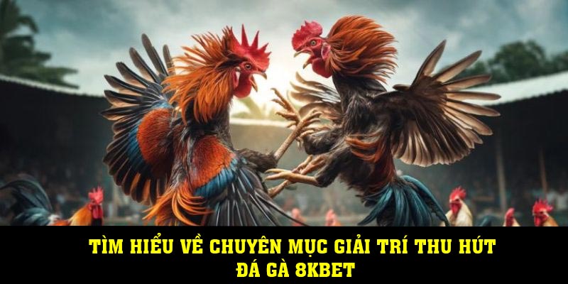 Tìm hiểu về chuyên mục giải trí thu hút đá gà 8KBET